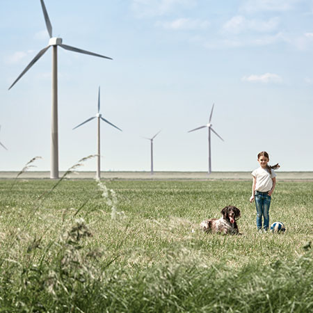 enfant avec chien et ballon dans un champ d'eoliennes