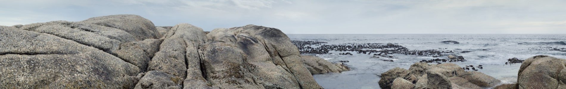 Comment la France a géré la transition énergétique ? 