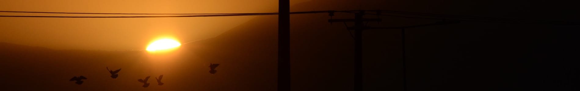 L’ouverture du marché de l’électricité, évolution ou révolution ?