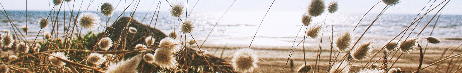 Comment la France gère-t-elle les pics de consommation électrique ?