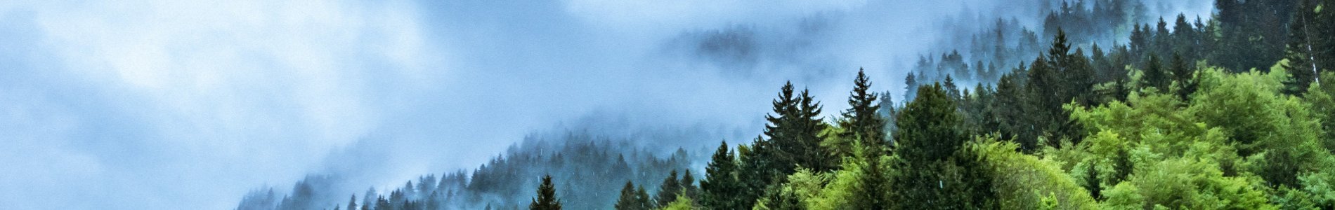 Les trois axes majeurs de la loi Energie-Climat