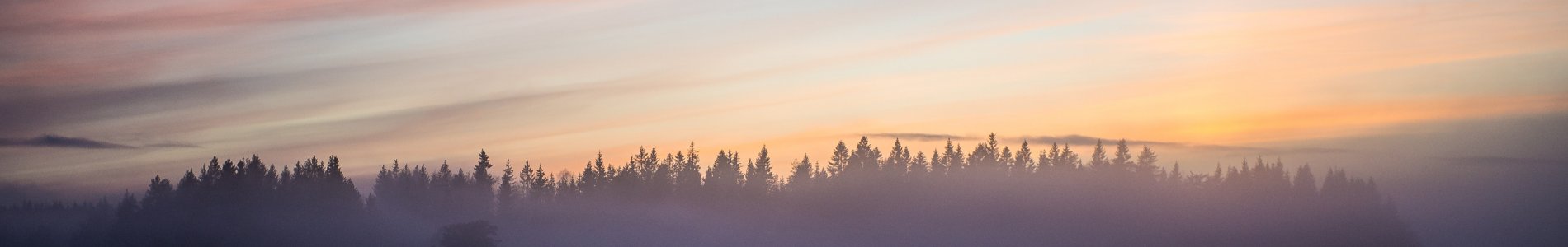 Photo de Jasper Graetsch pour Unsplash