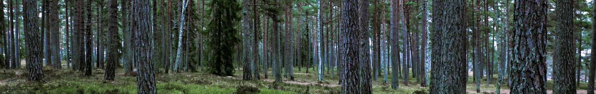 Bannière électricité verte une minute vidéo