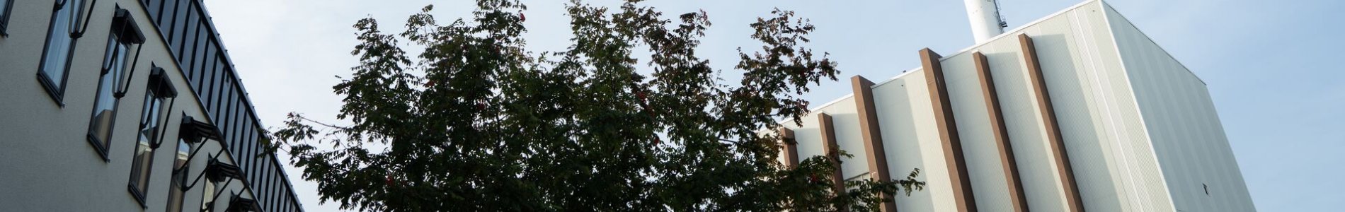 Contrats pour entreprises