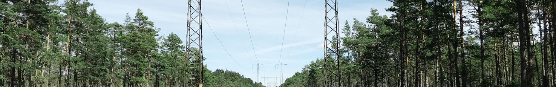 Prix de gros de l’électricité et du gaz naturel en août 2022