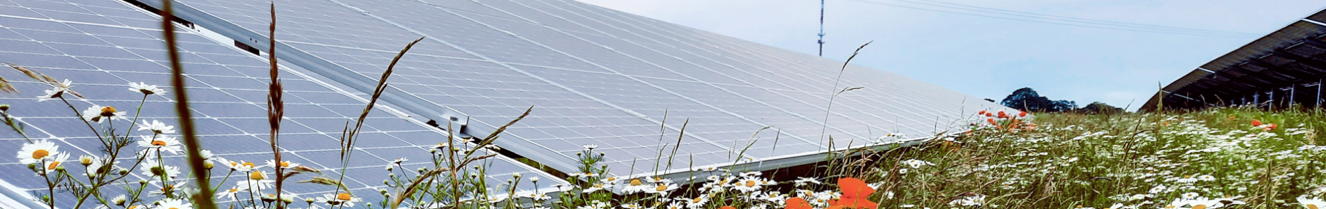 Floral Array with Solar Array