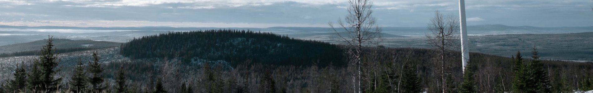 Comment fête-t-on Noël en Suède ?