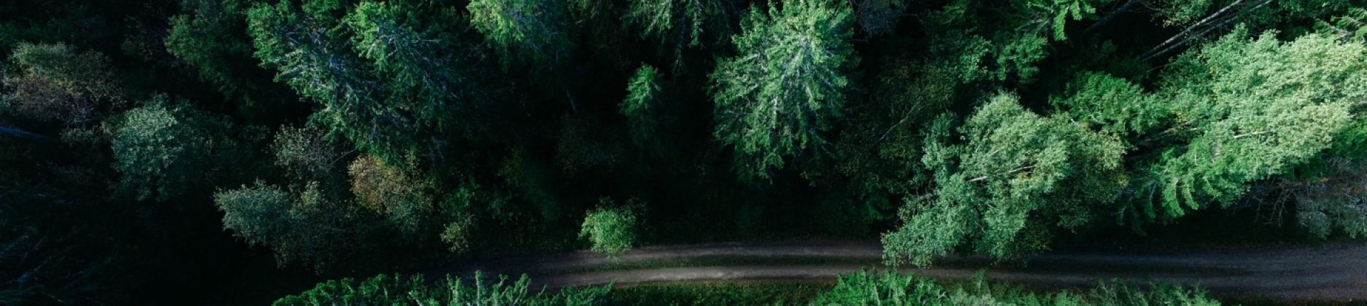 Bannière Offres Electricité