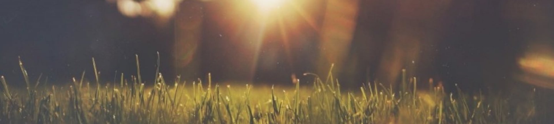 Bannière Offres Gaz