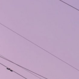 Câbles électriques, photo par Chuttersnap