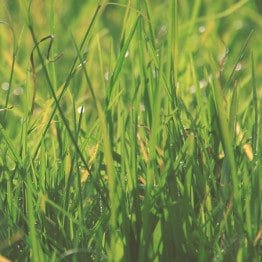 Photo par Luis Angel Cardoza Rojas