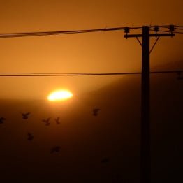 L’ouverture du marché de l’électricité, évolution ou révolution ?