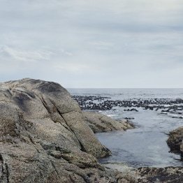 Comment la France a géré la transition énergétique ?