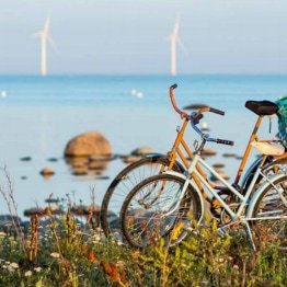 Stratégie et Ambition