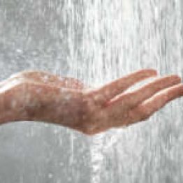 Palmarès Capital Vignette 350x150