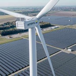 Ecovadis vignette article