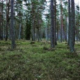 Vignette électricité verte une minute vidéo