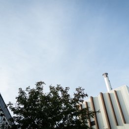 Contrats pour entreprises