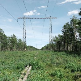 Prix de gros de l’électricité et du gaz naturel en août 2022