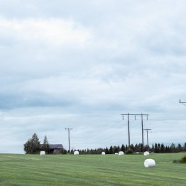 Vattenfall ou Alpiq