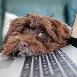 Combien consomme un ordinateur ? Estimation en kWh et en euro