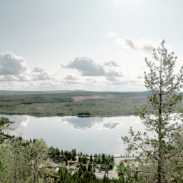 Qu’est-ce que la bioénergie ?
