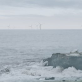 Quand l’éolien en mer fait pousser… des algues : Vattenfall et Samuel L. Jackson lancent Windfarmed