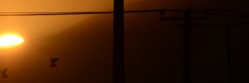 L’ouverture du marché de l’électricité, évolution ou révolution ?