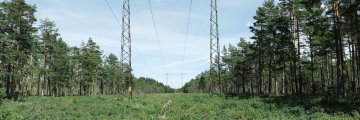 Prix de gros de l’électricité et du gaz naturel en août 2022