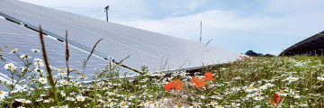 Floral Array with Solar Array
