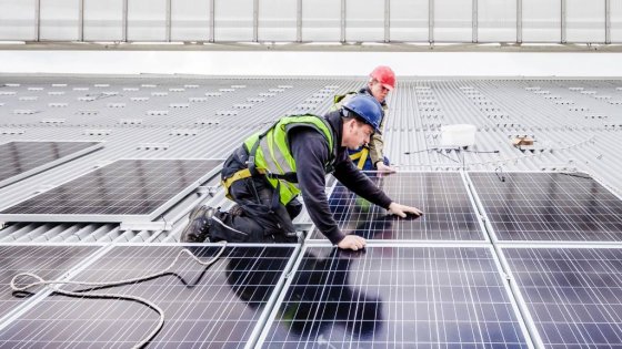 Une entreprise animée par l’excellence de ses collaborateurs