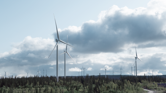 Électricité Verte Sérénité